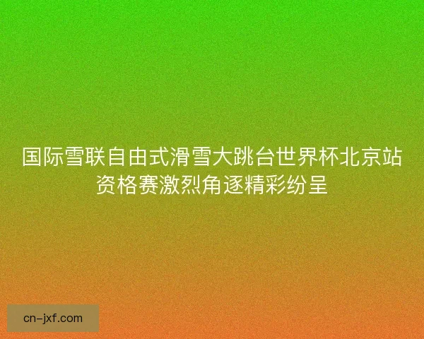 国际雪联自由式滑雪大跳台世界杯北京站资格赛激烈角逐精彩纷呈 国际雪联自由式滑雪大跳台世界杯北京站资格赛激烈角逐精彩纷呈